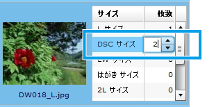 サイズ・枚数選択