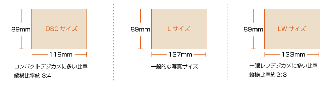 Lサイズ・DSCサイズ・LWサイズの違い