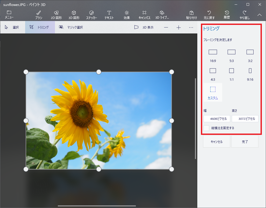 フレーミングの縦横比を選択