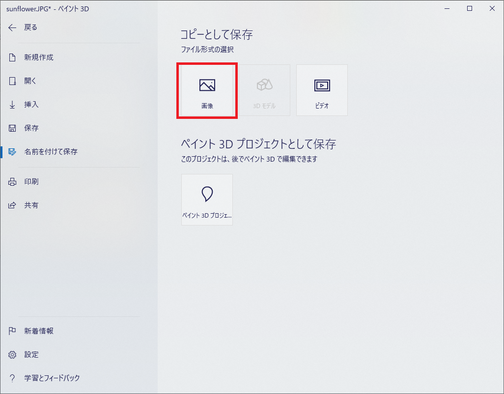 保存するファイル形式の選択